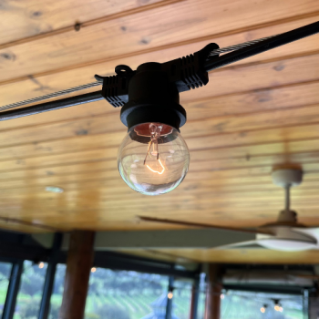 Festoon Lighting Hire Perth